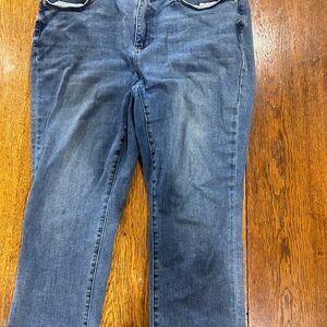 Judy Blue skinny capris 18W